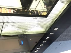-BLACKSWAN黑天鹅(环球店)