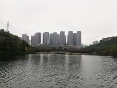 -重庆彩云湖湿地公园