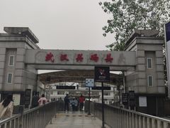 -武汉关码头(轮渡站)