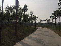 -卤阳湖国家湿地公园