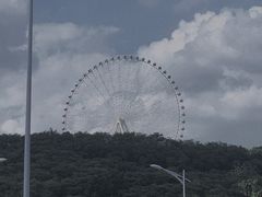 -凤岭儿童公园