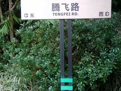 -神光山国家森林公园