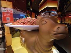 -炊烟小炒黄牛肉(浦东世纪汇店)