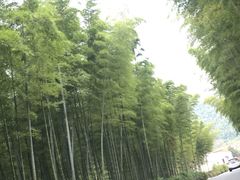 -天目湖御水温泉·度假酒店