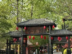 -合肥滨湖国家森林公园