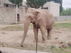 -石家庄市动物园