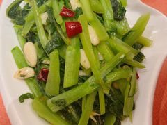 -飞鹿餐饮·陕南菜(北关店)