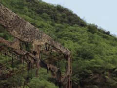 -水峪民俗村
