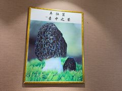 -菌之家·专业纯野生菌火锅·特色炒菌