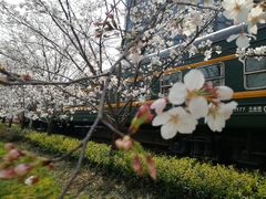 -新天地活力PARK