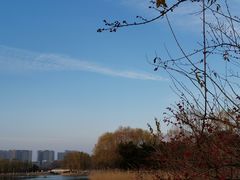 -大兴滨河森林公园