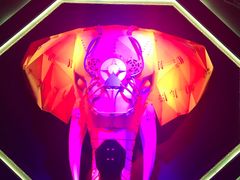 -疯克大象美式烤肉餐厅