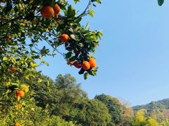 -广州市石门国家森林公园