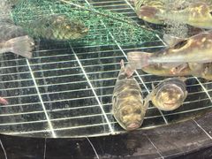 -蒋公馆家宴(江阴店)