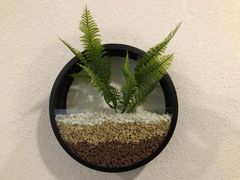 -武氏真功夫(第14店·新业广场店)