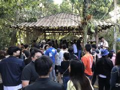 -Bamboo Saturday Market(Nana Jungle)