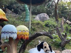 -广州长隆野生动物世界