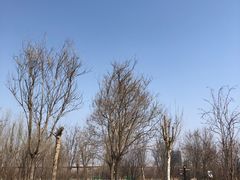-水西公园