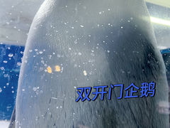 -南京海底世界