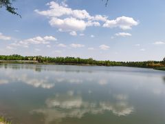 -东郊湿地公园