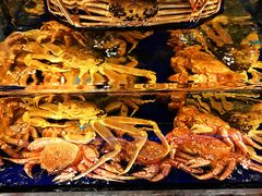 -蟹道乐(道顿堀本店)