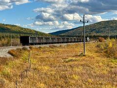 -莫尔道嘎国家森林公园