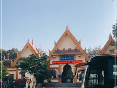 -云南勐巴娜西珍奇园