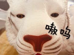 -KKV(天津津南吾悦广场店)