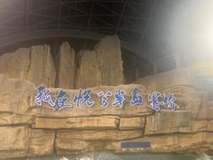 -洪湖悦兮半岛国际温泉度假村