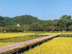 -红山村