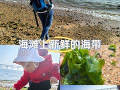-黑石礁公园