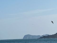 -海驴岛(荣成市)