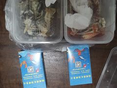 -福顺顺发海鲜餐厅