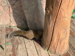 -云漫湖生态度假公园