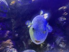 -南昌海洋公园
