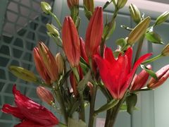 -南堂馆·新川菜(春熙路店)