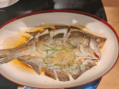-鲁菜根·泰山菜(泰山店)