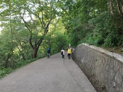 -紫金山山顶公园