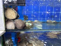 -常家活海鲜小吃(仅一家无分店)