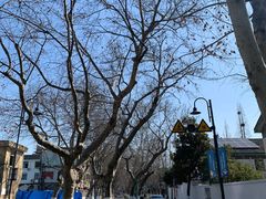 -南通濠河风景名胜区