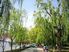 -柳浪闻莺公园