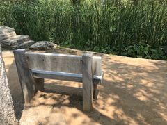 -滨河世纪广场公园