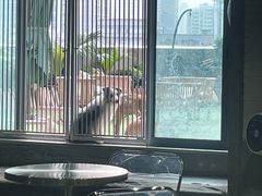 -浣熊柯尔鸭土拨鼠·电玩咖
