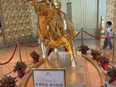 -华西村
