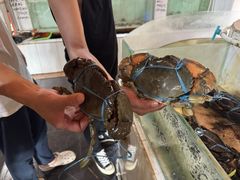 -海盗餐厅