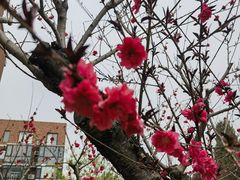 -星河湾温泉洗浴酒店