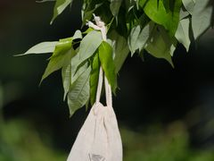 -Again Coffee Roaster(香蜜湖店)