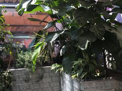 -DEMO黛慕蛋糕(三街两巷店)
