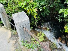 -水濂山森林公园