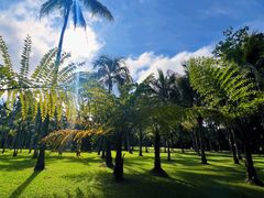 -中国科学院西双版纳热带植物园